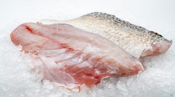 BARRAMUNDI FILLET 100 - 200 5KG